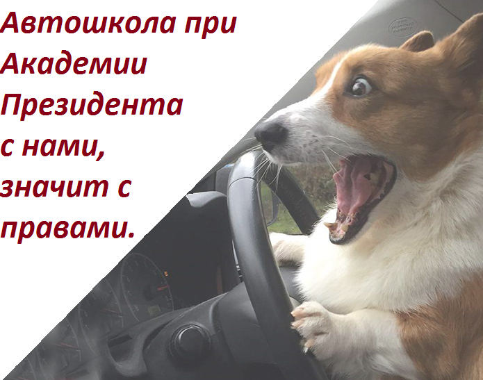 Автошкола Новогиреево.png Автошкола Новогиреево.png