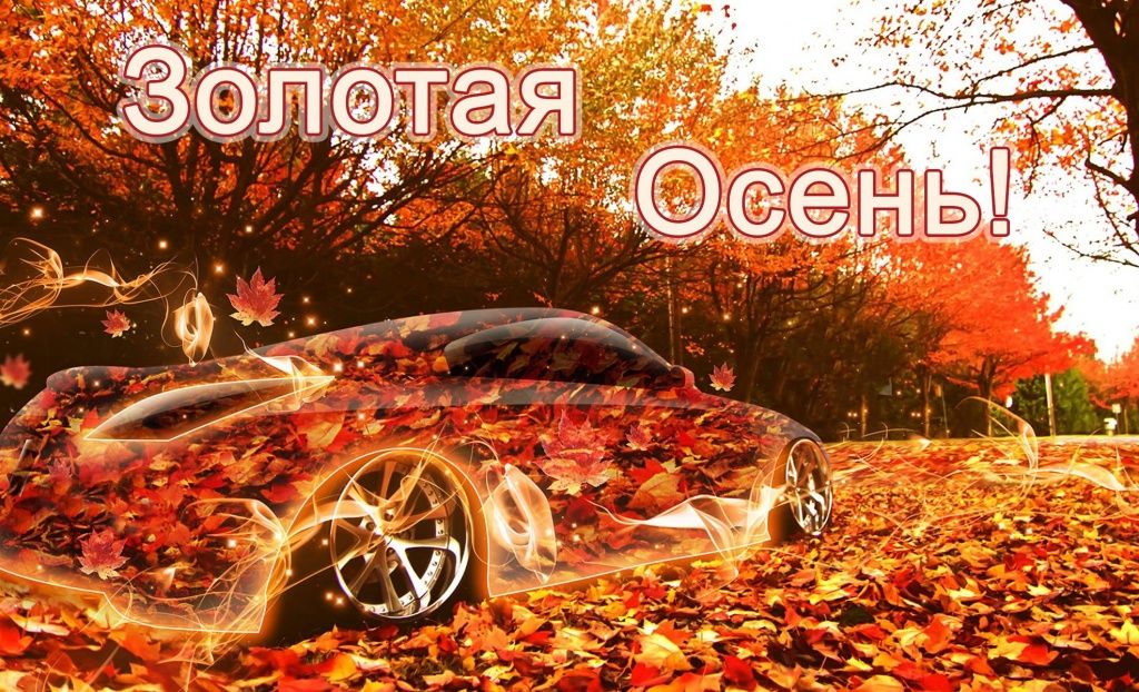 Проект Золотая Осень.jpg Проект Золотая Осень.jpg