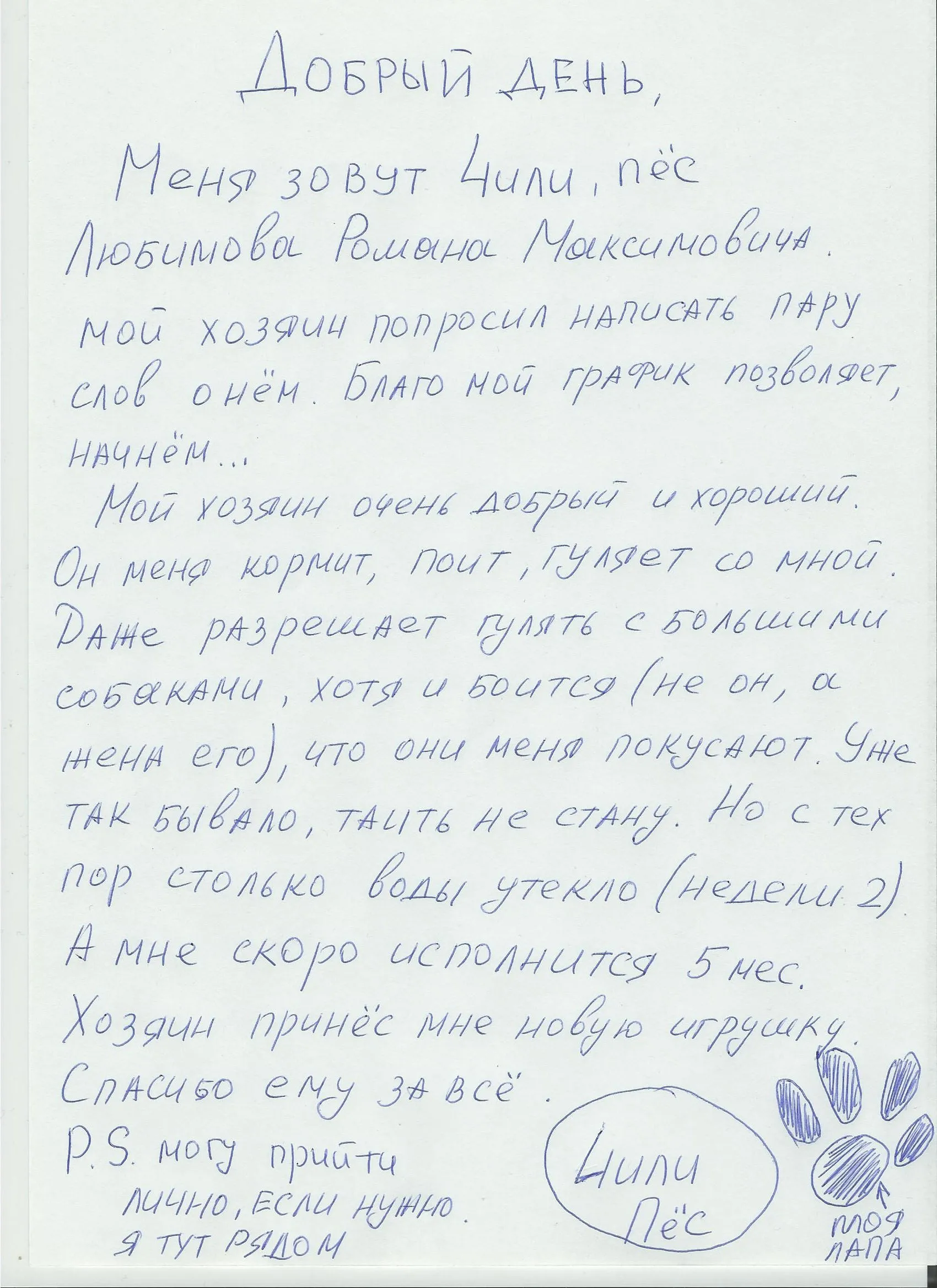 Чили пес